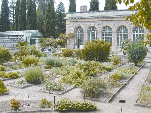 Les Meilleurs Parcs de Montpellier - Découvrez les Plus Beaux Espaces Verts